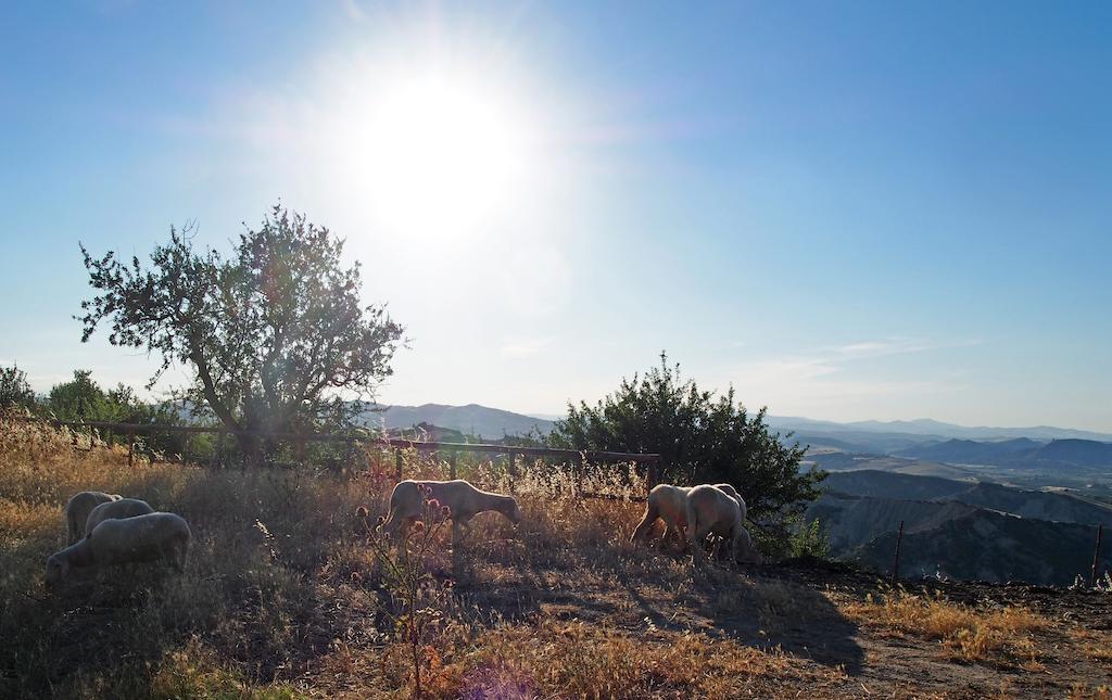 Il Belvedere Civita Dış mekan fotoğraf